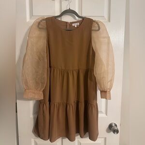 TCEC Mini Dress with Sheer Sleeves